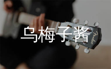 乌梅子酱吉他谱_李荣浩_G调原版吉他六线谱_弹唱教学视频