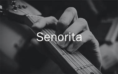 Senorita指弹吉他谱_肖恩_吉他独奏谱_高清指弹六线谱
