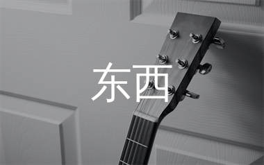 东西吉他谱_林俊呈_G调简单版吉他六线谱_弹唱教学视频