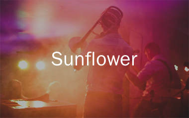 Sunflower指弹吉他谱_孙培博_吉他独奏谱_高清指弹六线谱