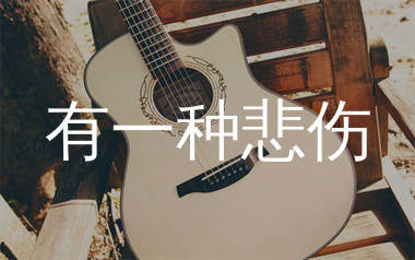 有一种悲伤吉他谱_黄丽玲_C调原版六线谱_弹唱教学视频