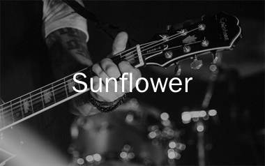 Sunflower指弹谱_井草圣二_高清吉他独奏谱_指弹吉他教学