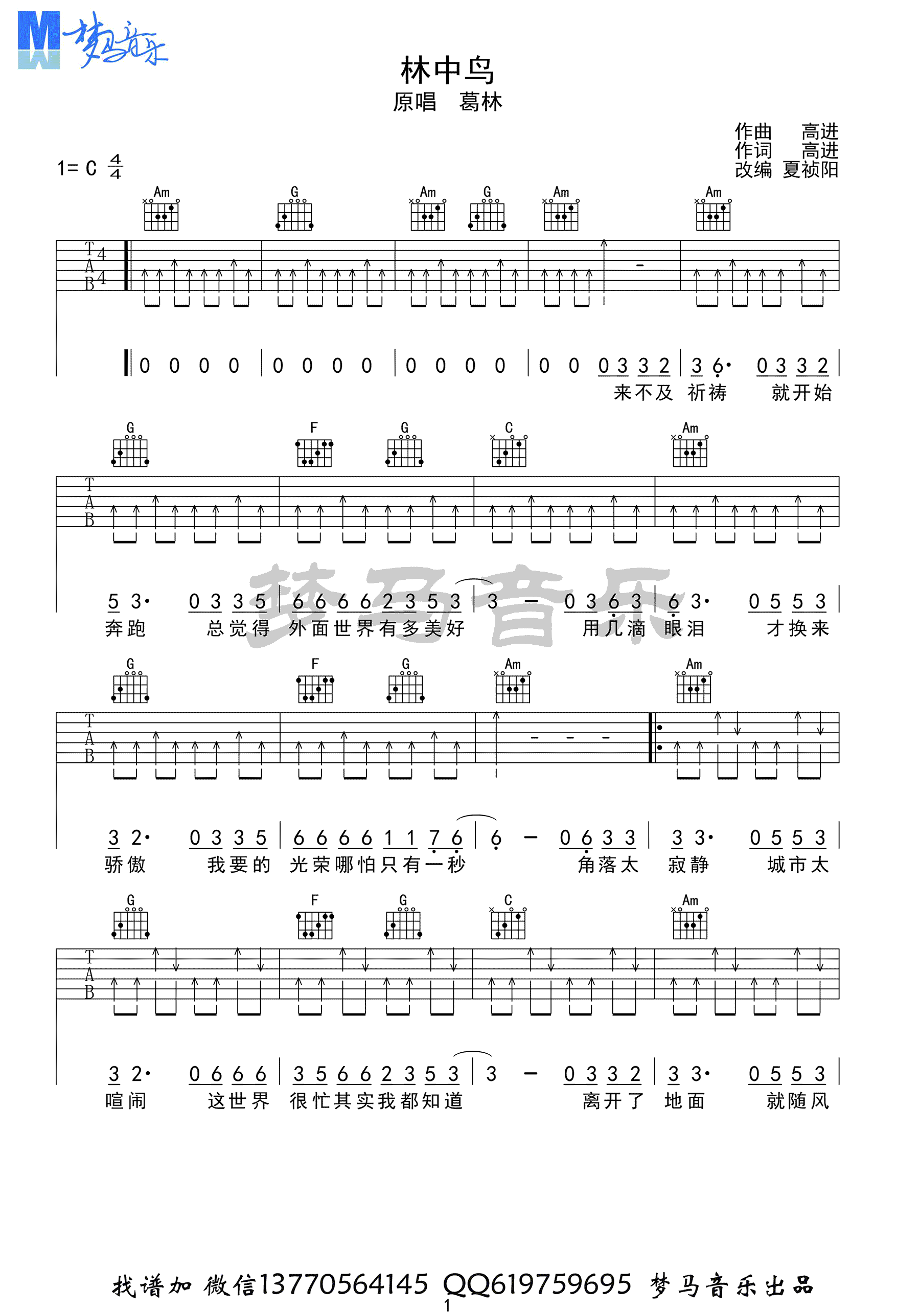 林中鸟吉他谱1-葛林-C调指法