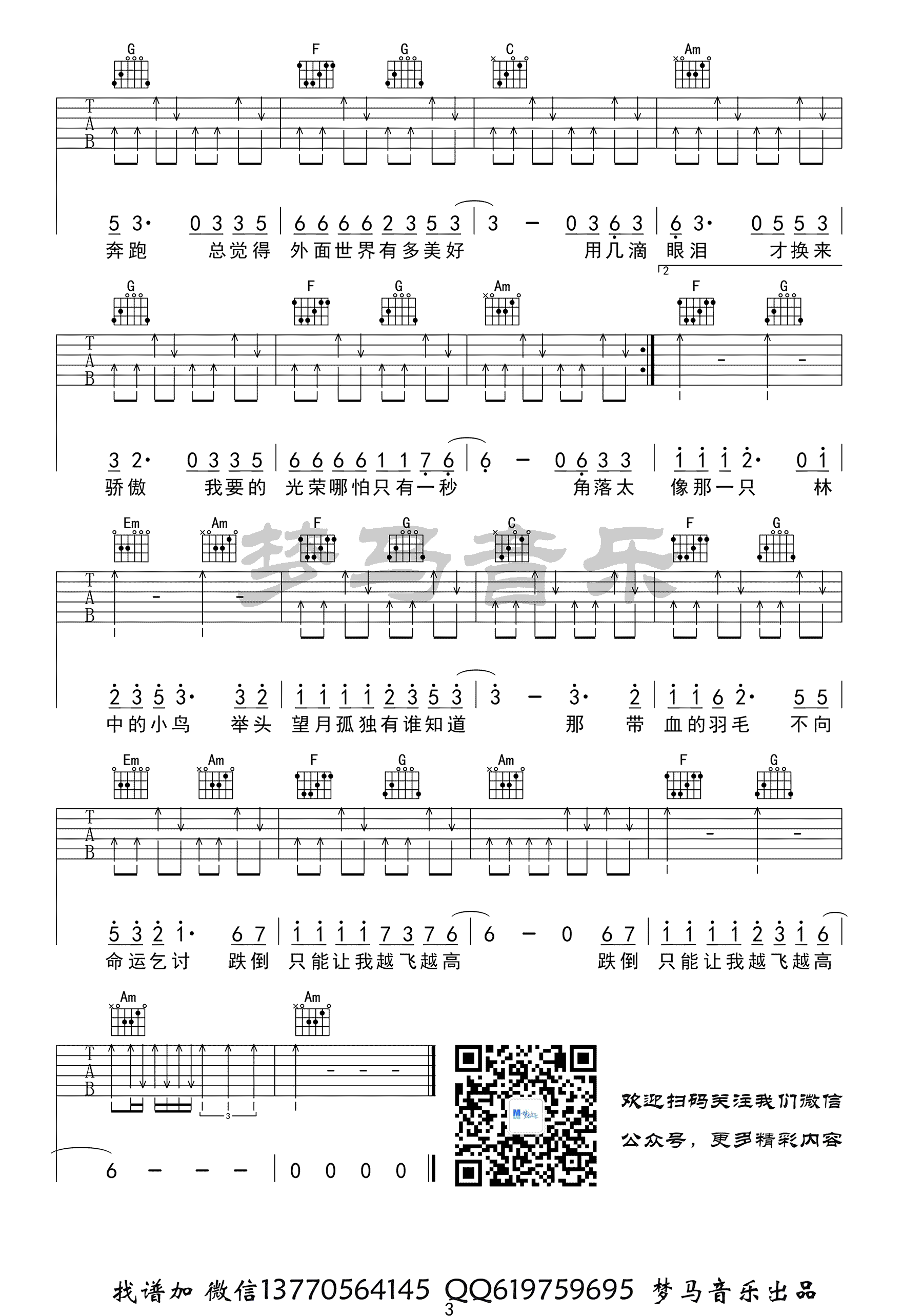 林中鸟吉他谱3-葛林-C调指法