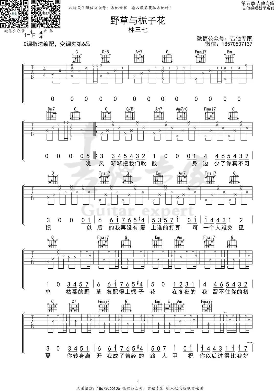 野草与栀子花吉他谱1-林三七-C调指法