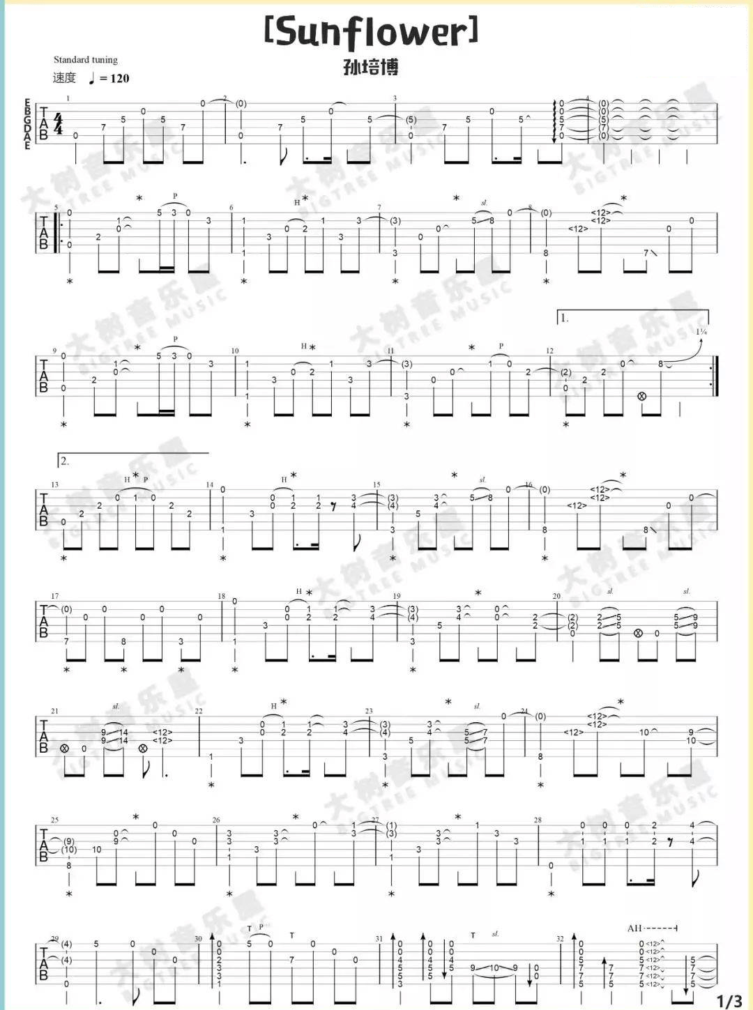 太阳花指弹吉他谱1-孙培博
